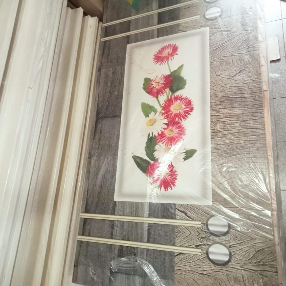 Wpc Uv Print Door