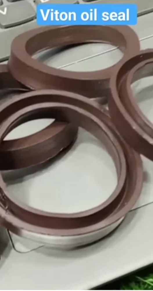 Viton Oil Seal