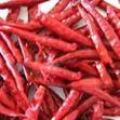 लाल मिर्च