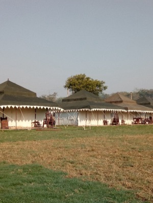 Royal Maharaja Tent on Rent
