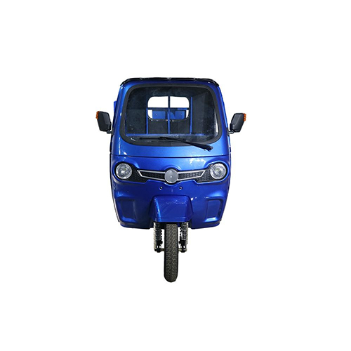 Open 3 Wheel Cargo Tricycle Blue Utility Electric Tricycle Powered Cargo Truck