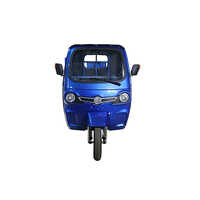 Open 3 Wheel Cargo Tricycle Blue Utility Electric Tricycle Powered Cargo Truck