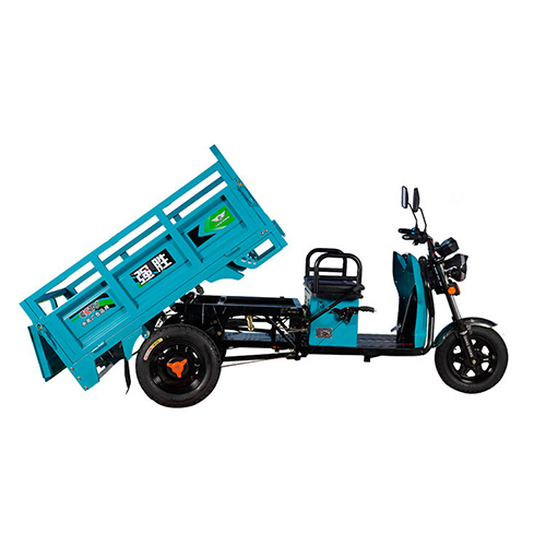 Heavy Load Etrike 3 Wheel Electric Mini Truck Open Electric