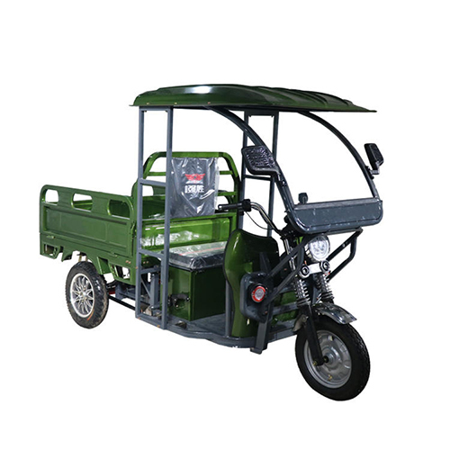 Electric 3-Wheel Cargo Tricycle Electric Cargo Trike Electric Tricycle for Cargo