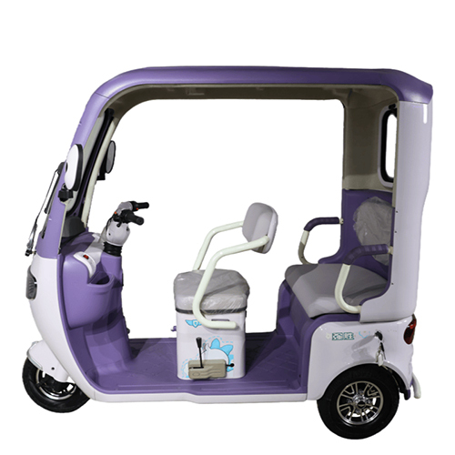 Open Body 3-Wheel Electric Tricycle Joy Electric Auto Rickshaw