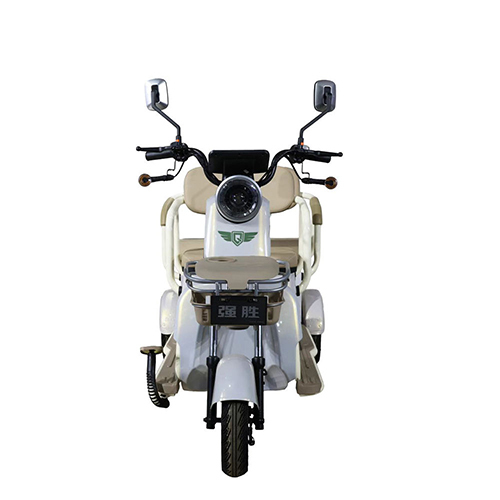 Electric Scooter EEC Approved Passenger Tricycle Car Three Wheel