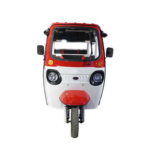 Customizable Electric Rickshaw Bicycle