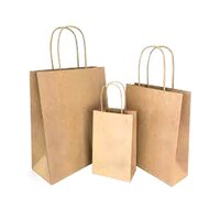 Brown Paper Bags