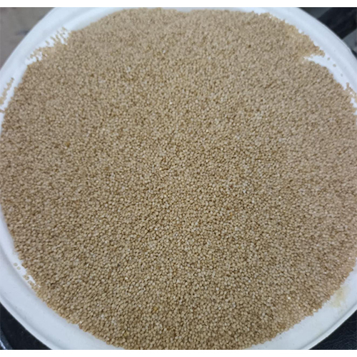 Little millet