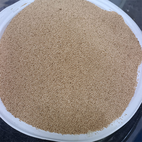 Rajgira (Amaranth)