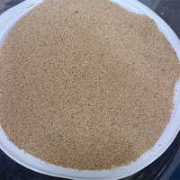 Rajgira (amaranth)