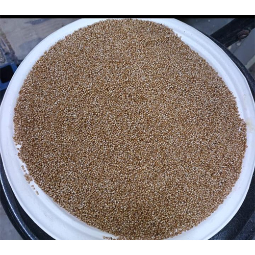 Kodo millet