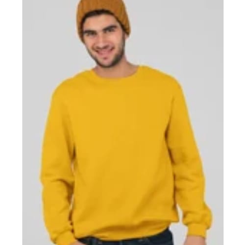 Mens Sweatshirt