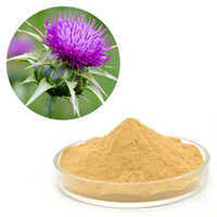 Milk Thistle Extract - Color: Light-yellow To Yellowish-brown (typical For Silymarin Powder)