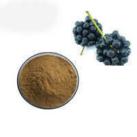 Siberian Ginseng Extract - Features: Supports Energy