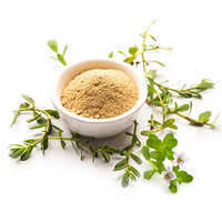 Bacopa Monnieri Extract - Color: Not Specified (typically Light Brownish Powder)