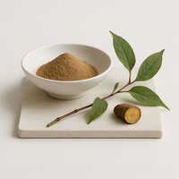 Polygonum Cuspidatum Extract - Color: Light Yellow-brown