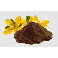 St Johns Wort Extact