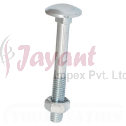 Stainless Steel Carriage Bolt