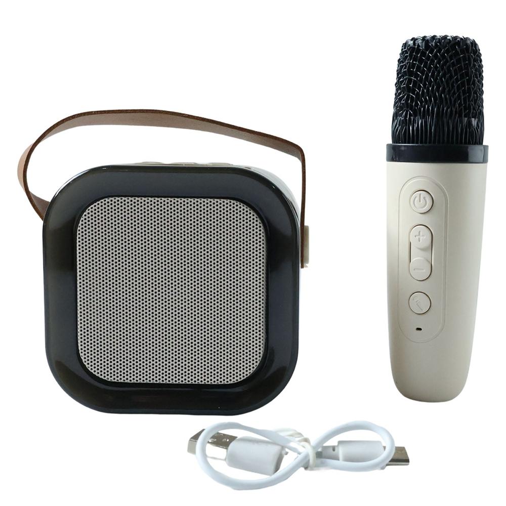 B Grade Portable Karaoke Speaker (1 Set)