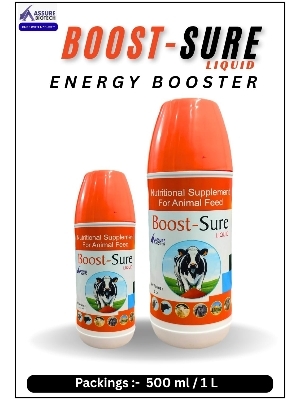 Energy booster