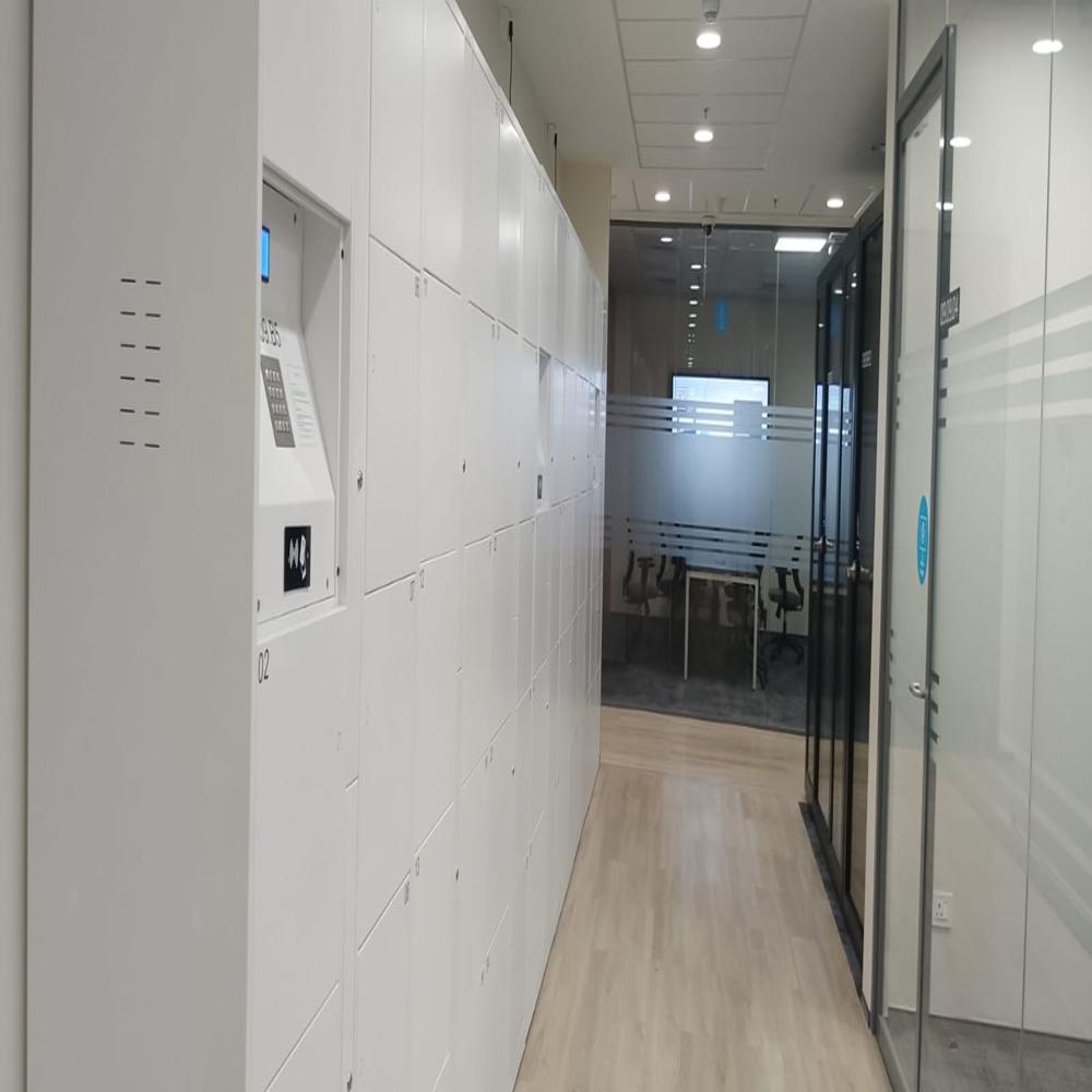 Biometric Locker
