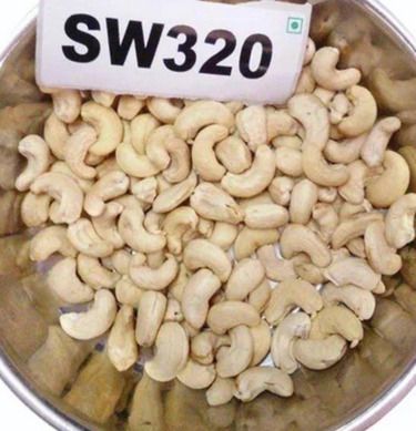 SW320 Cashew