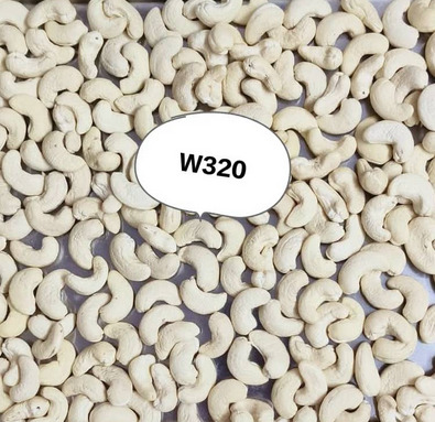 W320 Cashew