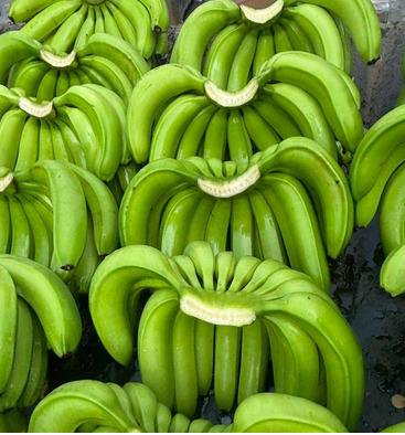 Organic Banana