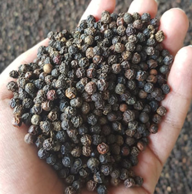 Black Pepper