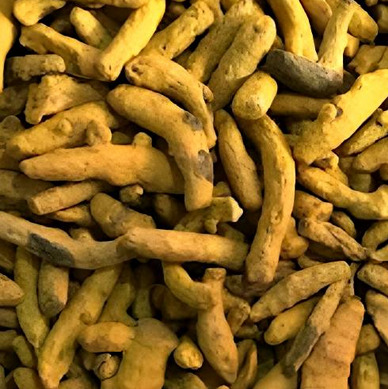Turmeric Finger