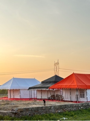 Premium Tent