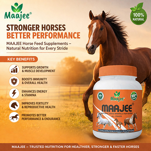 Horse Feed Supplements