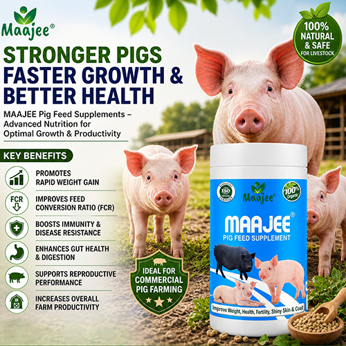 Maajee Pig Feed Supplement