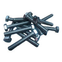 SS Hex Bolt