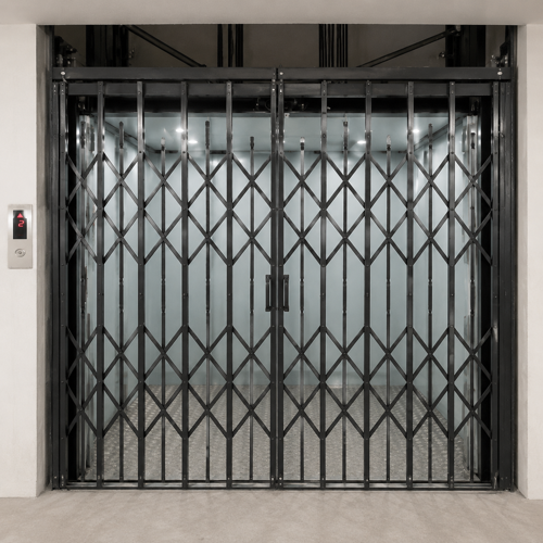 Custom Goods Cum Passenger Lift - Capacity: 2 Ton