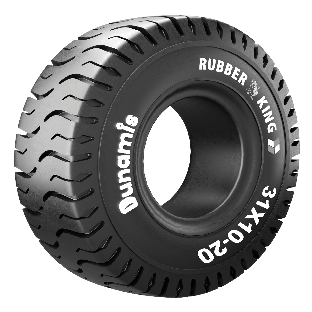 DUNAMIS 31x10-20
