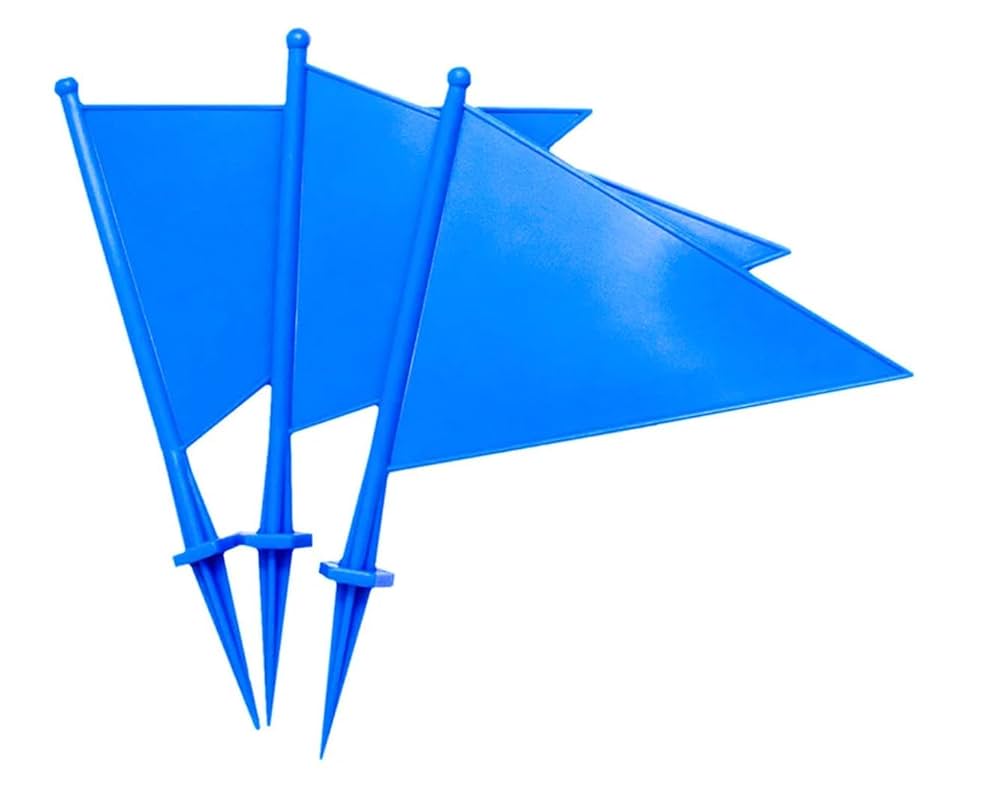 Boundary Marking Flag - Age Group: All