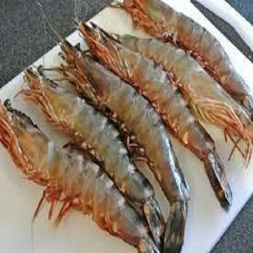 Sea Foods