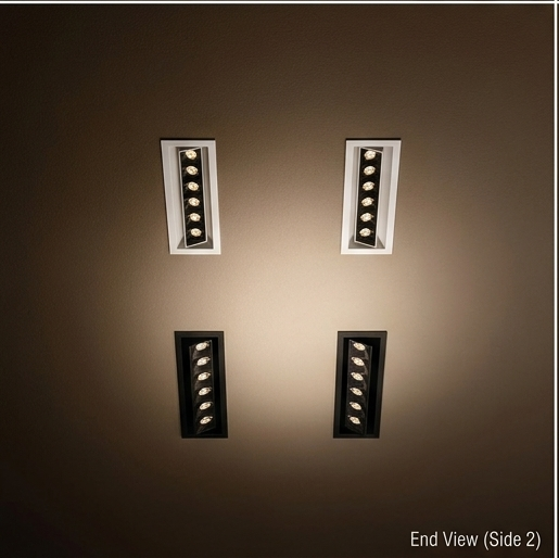 Indoor Functional Ceiling Lights - Color: White