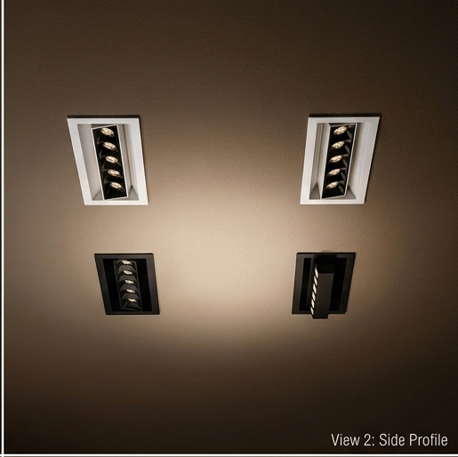 Indoor Functional Ceiling Lights - Color: White