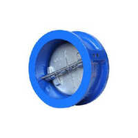 Dual Plate Check Valve