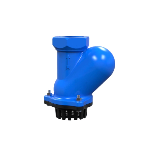 Screwed Ball Type Foot Valve