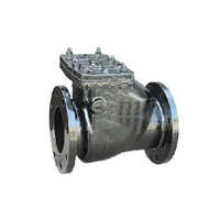 Reflux Valve