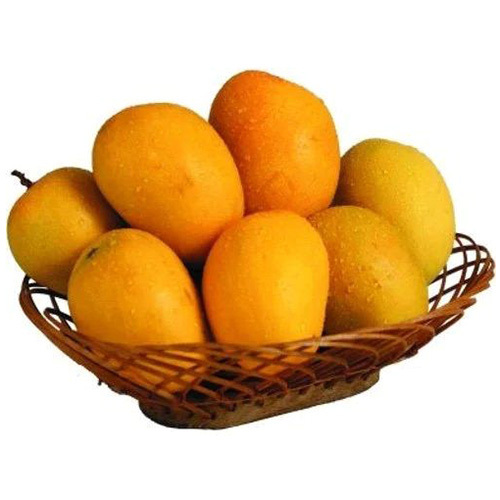 हापुस आम