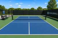 Pickleball Court