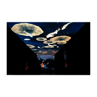 Ceiling mount  LED Screen