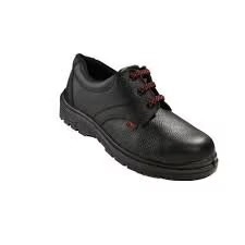 Concorde Ex Shoes