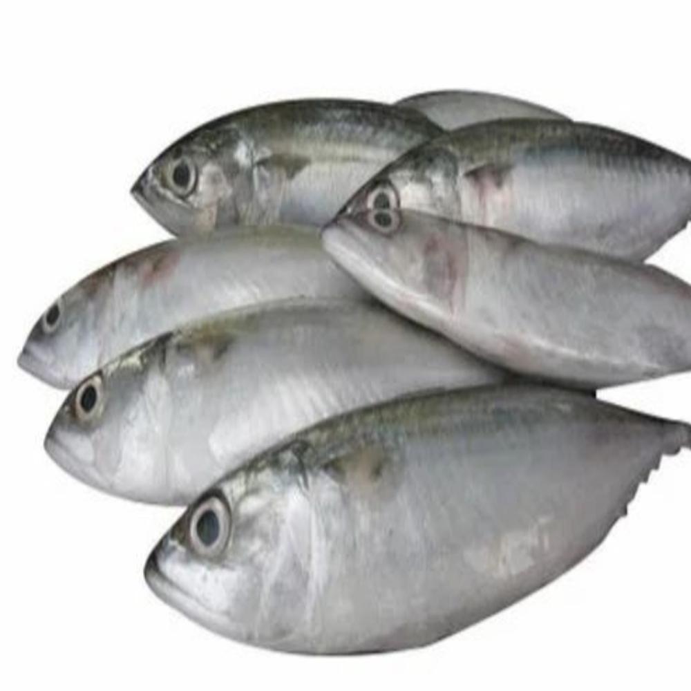 Fresh Sea Fish
