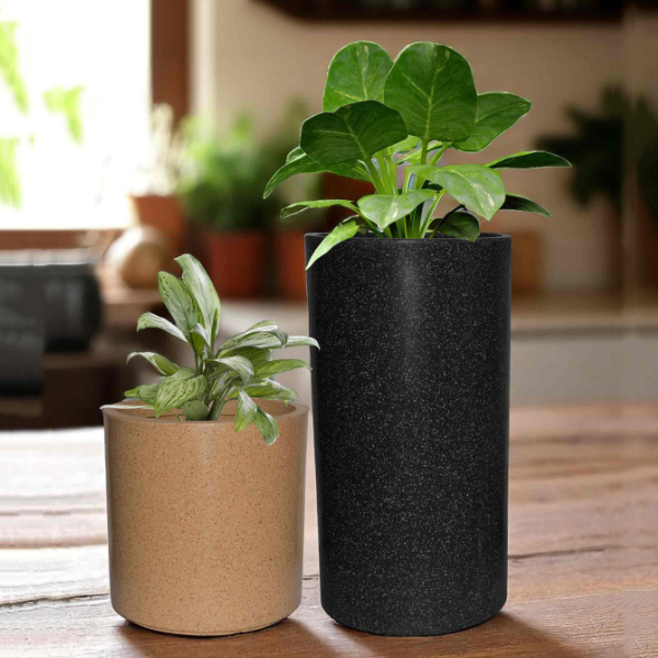 RM2455010 Seattle Garden Planter